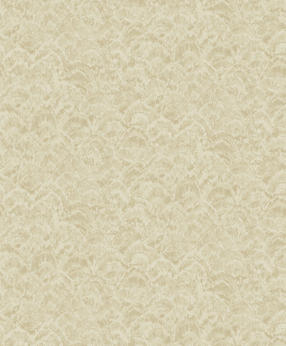 NA50804