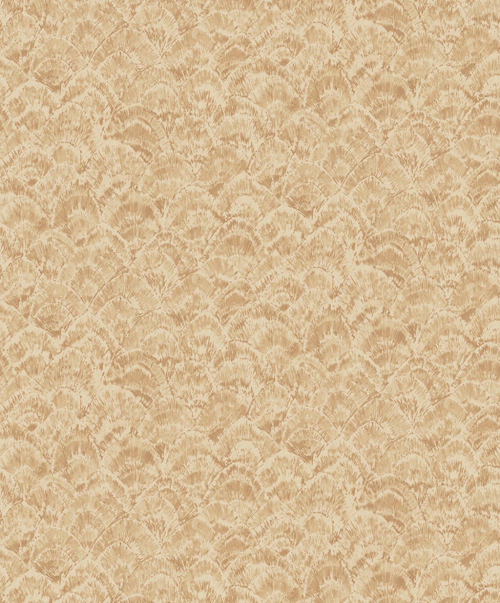 NA50806