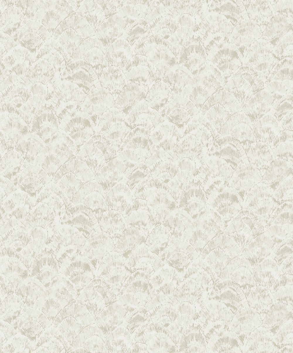 NA50810
