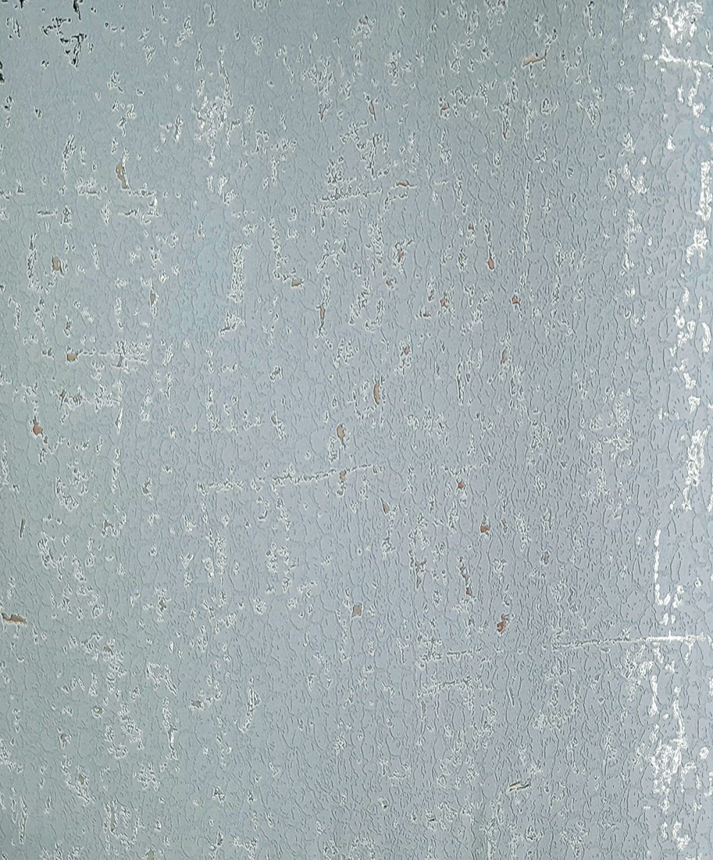 SI548