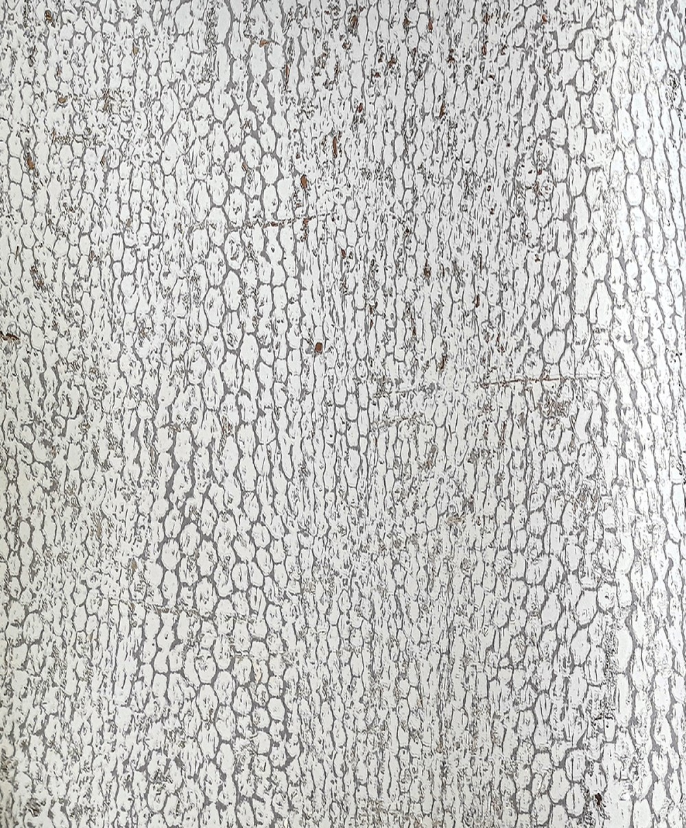 SI561