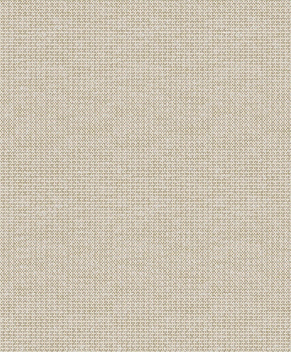 SL428